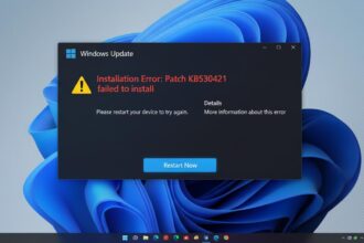 The emergency Windows 11 USB fix for the KB5066835 bug.